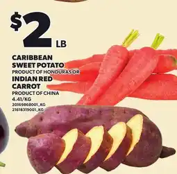 Loblaws CARIBBEAN SWEET POTATO OR INDIAN RED CARROT offer