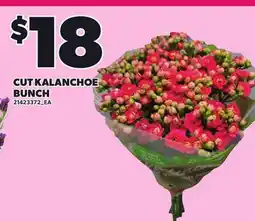 Loblaws CUT KALANCHOE BUNCH offer