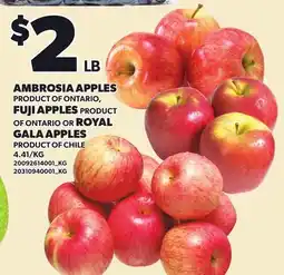 Loblaws AMBROSIA APPLES offer