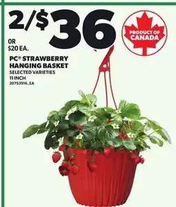 Loblaws PC STRAWBERRY HANGING BASKET, 11 INCH offer