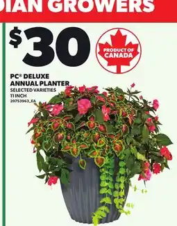 Loblaws PC DELUXE ANNUAL PLANTER, 11 INCH offer