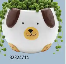 Sushi Shop Ceramic Planter offer
