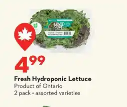 Longo's Fresh Hydroponic Lettuce offer
