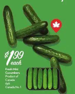 Longo's Fresh Mini Cucumbers offer