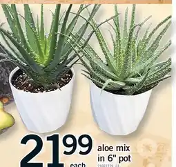 Fortinos ALOE MIX IN 6 POT offer