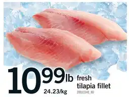 Fortinos FRESH TILAPIA FILLET offer