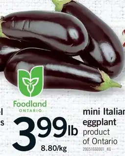 Fortinos MINI ITALIAN EGGPLANT offer