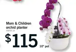 Fortinos MOM & CHILDREN ORCHID PLANTER, 10 pot offer