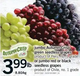 Fortinos JUMBO AUTUMN CRISP GREEN SEEDLESS GRAPES OR JUMBO RED OR BLACK SEEDLESS GRAPES offer