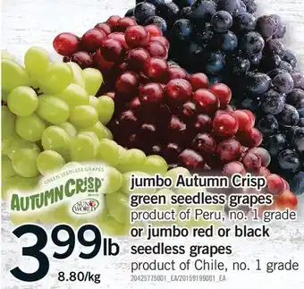 Fortinos JUMBO AUTUMN CRISP GREEN SEEDLESS GRAPES OR JUMBO RED OR BLACK SEEDLESS GRAPES offer