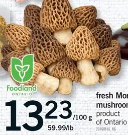 Fortinos FRESH MOREL MUSHROOMS offer