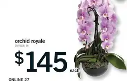 Fortinos ORCHID ROYALE offer