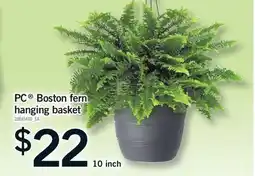 Fortinos PC BOSTON FERN BOSTON BASKET, 10 inch offer