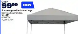 RONA Sun canopy with slanted legs 10' x 10' offer