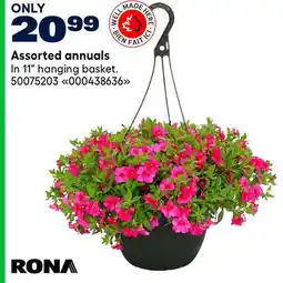 RONA Assorted annuals offer