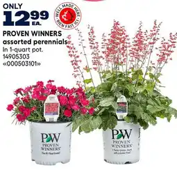RONA PROVEN WINNERS assorted perennials offer