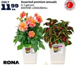 RONA Assorted premium annuals offer
