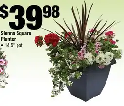 Home Depot Sienna square planter 14.5 pot offer