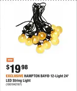 Home Depot EXCLUSIVE HAMPTON BAY 12-Light 24' LED String Light offer
