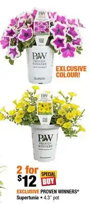 Home Depot Proven Winners Supertunia 4.3 pot offer