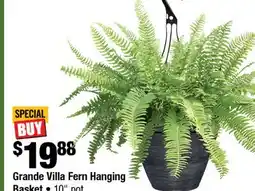 Home Depot Grande Villa Fern Hanging Basket 10 pot offer