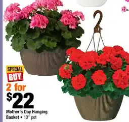 Home Depot Mother's Day Hanging basket 10 pot offer