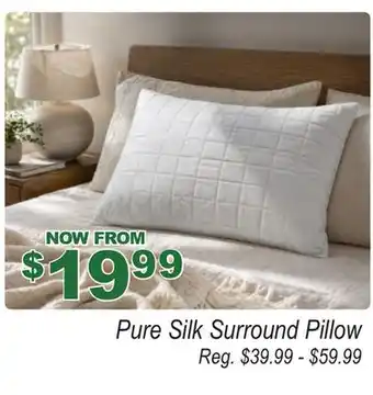 Oxford Mills Pure Silk Surround Pillow offer