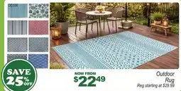 Oxford Mills Outdoor Rug offer