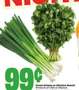 FreshCo Green Onions or Cilantro Bunch Product of USA or Mexico offer