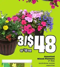 FreshCo Assorted Mixed Planters 11 Pot offer