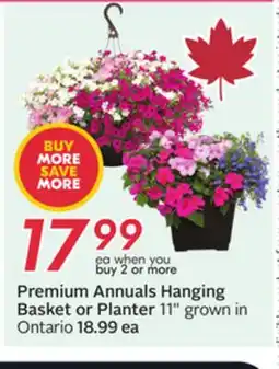 Sobeys Premium Annuals Hanging Basket or Planter offer