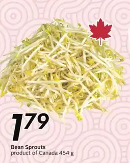 Sobeys Bean Sprouts - Global Market offer