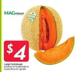Sobeys Magnificent Large Cantaloupe offer