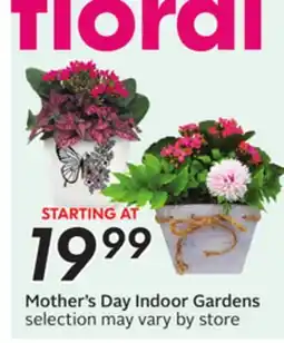 Sobeys Mother's Day Indoor Gardens offer