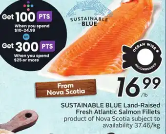 Sobeys Land-Raised Fresh Atlantic Salmon Fillets offer