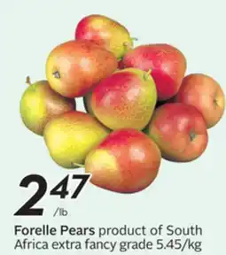 Sobeys Forelle Pears product of South Africa fancy offer