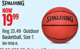 Canadian Tire Outdoor Basketball offer