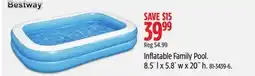 Canadian Tire Inflatable Family Pool offer