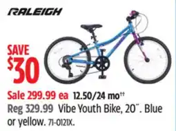 Canadian Tire Raleigh Vibe Youth Bike, 20˝ offer