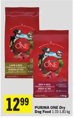 Foodland PURINA ONE Dry Dog Food offer