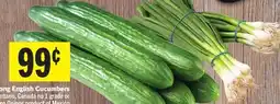 Foodland Long English Cucumbers offer