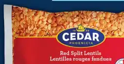 Food Basics CEDAR LENTILS OR STUFFED VINE LEAVES offer