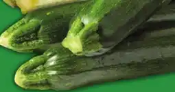 Food Basics GREEN OR GREY ZUCCHINI SQUASH offer