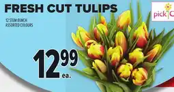 Metro FRESH CUT TULIPS offer