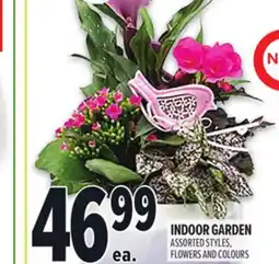 Metro INDOOR GARDEN offer