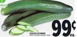 Metro SEEDLESS CUCUMBERS offer