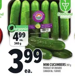 Metro MINI CUCUMBERS offer