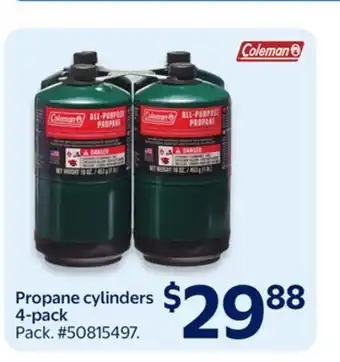 Walmart Propane cylinders offer