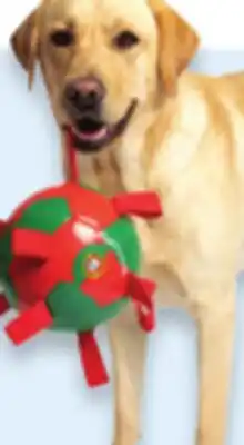 Walmart One Paw Fifa do apparel, toys or accessories offer
