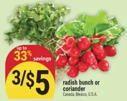 Marché Adonis radish bunch or coriander offer